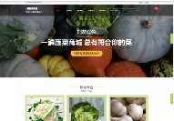 建阳营销网站